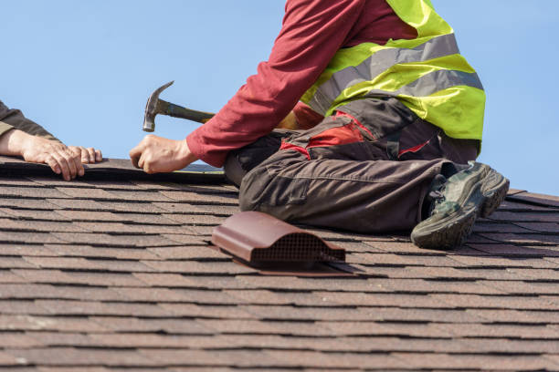 Best Roof Maintenance Services  in Rockville, MN