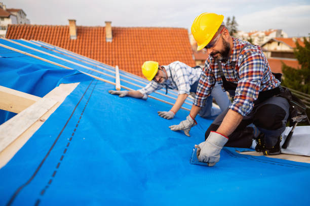 Best Roof Gutter Cleaning  in Rockville, MN