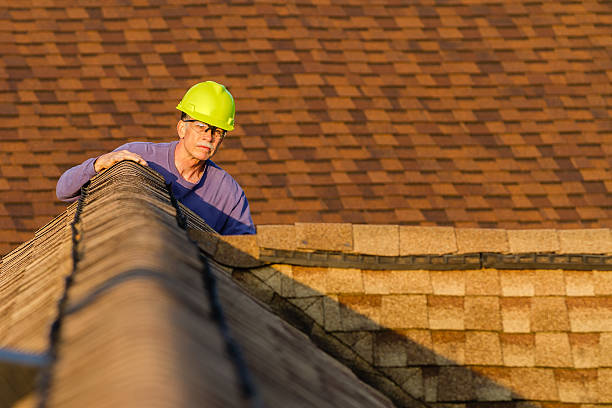 Best Roof Gutter Cleaning  in Rockville, MN